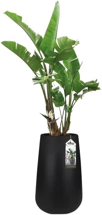 Pure Cone High 45cm Black