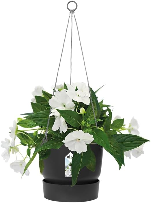 Greenville 24cm Hanging Basket Living Black