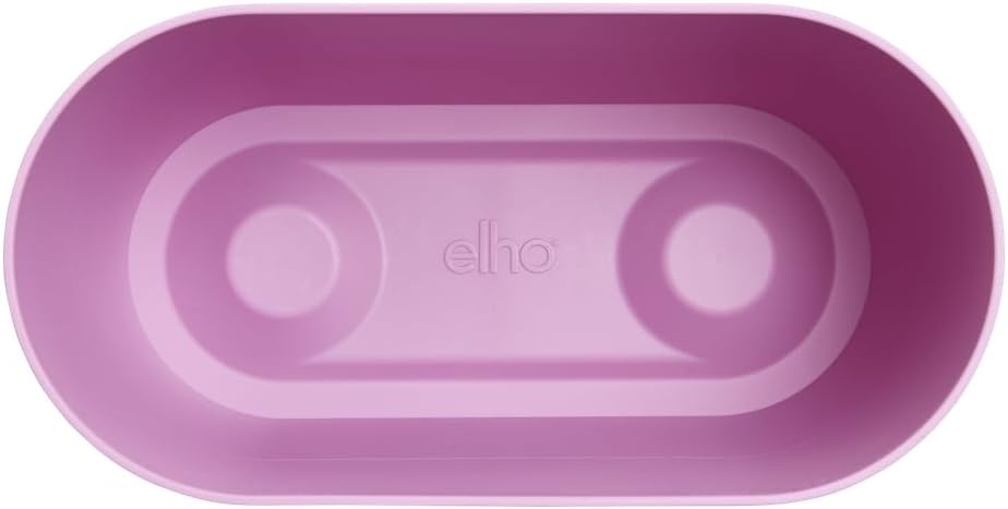 Brussels Orchid Duo 25cm - Vivid Violet