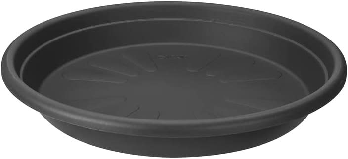 Universal Saucer Round 48cm Anthracite