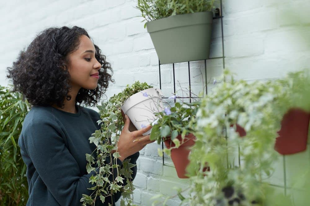 Loft Urban Green Wall Pot Duo 28cm - Pistachio Green