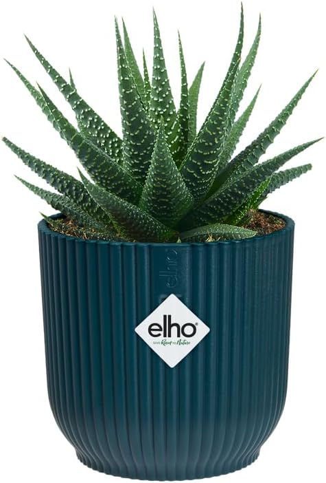 Vibes Fold Mini 11cm Round Deep Blue