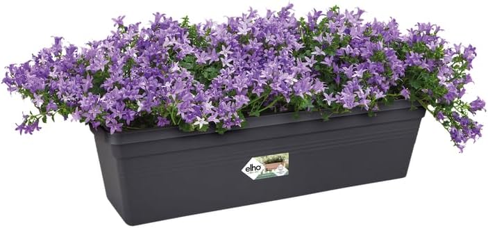 Green Basics Trough 50cm - Living Black