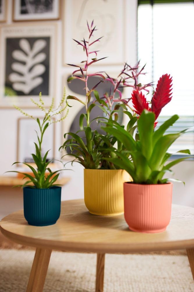 Vibes Fold Mini 11cm Round Deep Blue