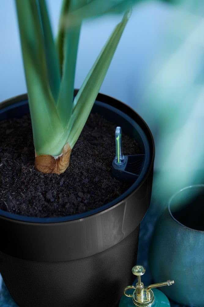 B.for Original Round 25cm - Black