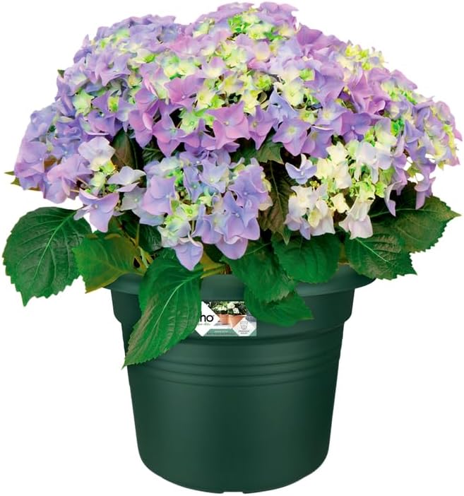 Green Basics Cilinder 40cm - Leaf Green