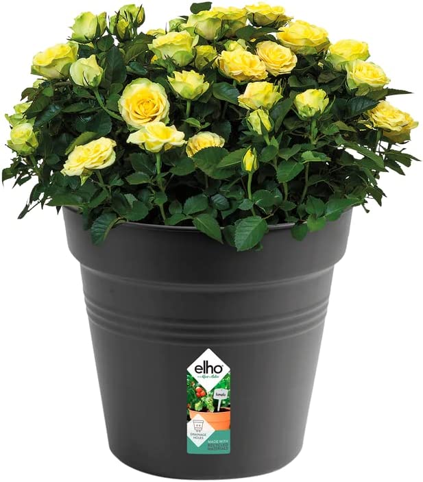 Green Basics Grow Pot 40cm - Living Black