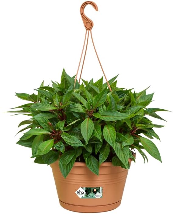 Green Basics Hanging Basket 28cm - Mild Terracotta