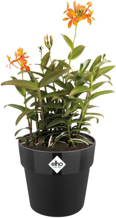 B.for Original Round 25cm - Black