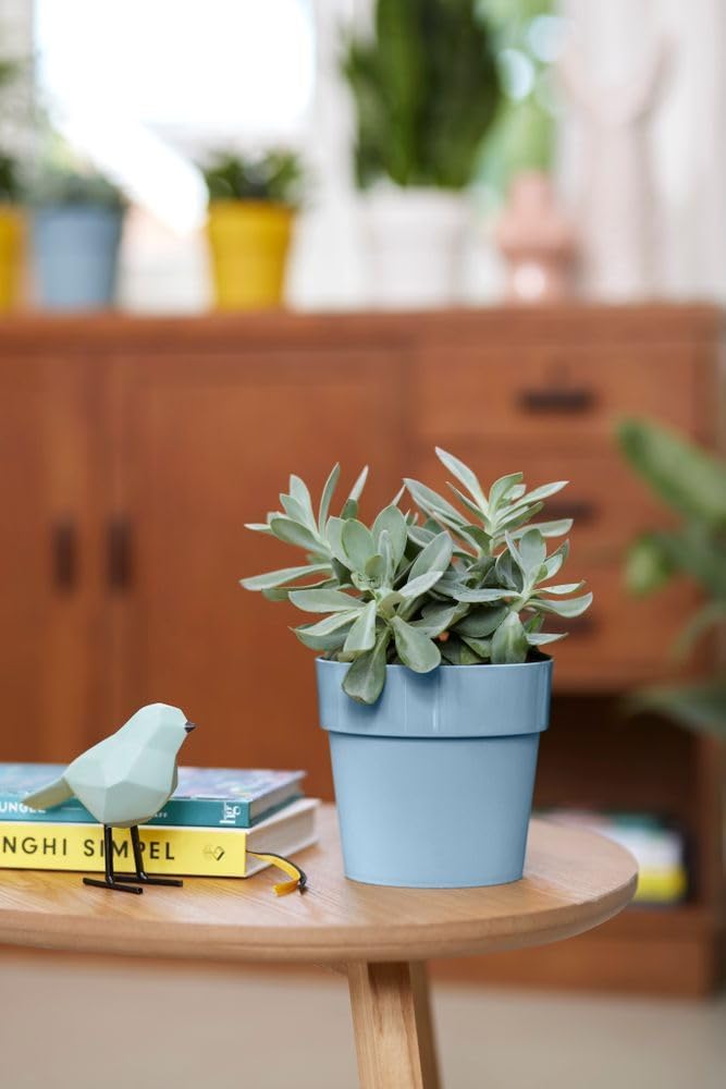 B.for Original Round 18cm - Dove Blue