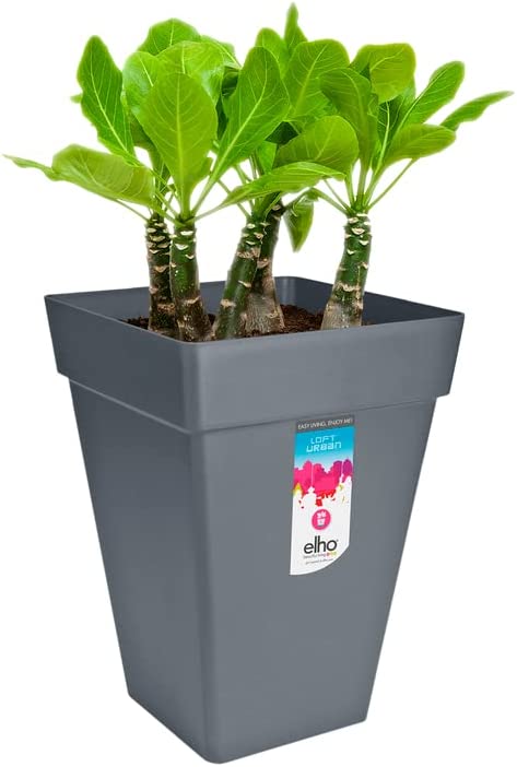 Loft Urban Square High 37cm - Anthracite