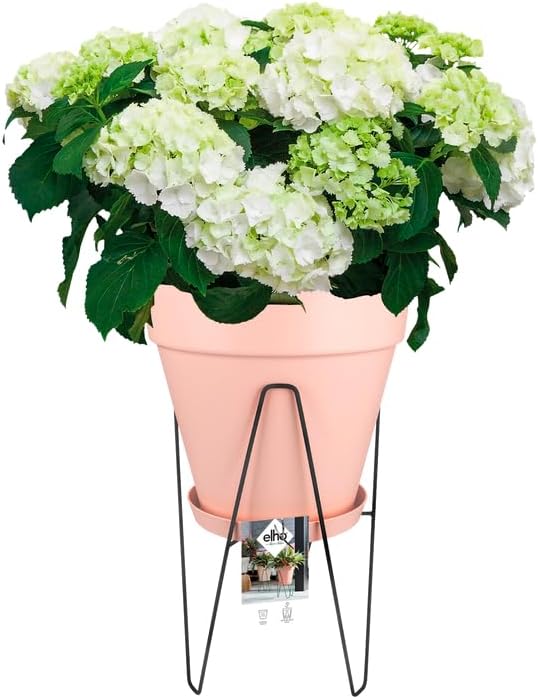 Loft Urban Living Black 40cm Frame