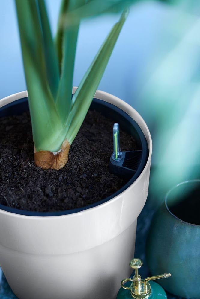 B.for Original Round 25cm - White