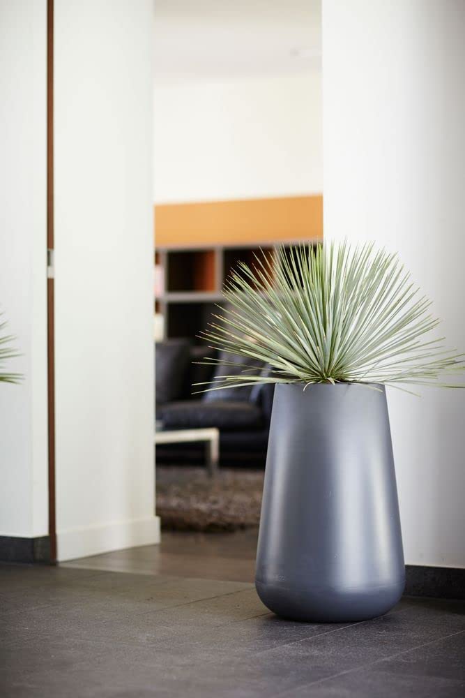 Pure Cone High 45cm Black