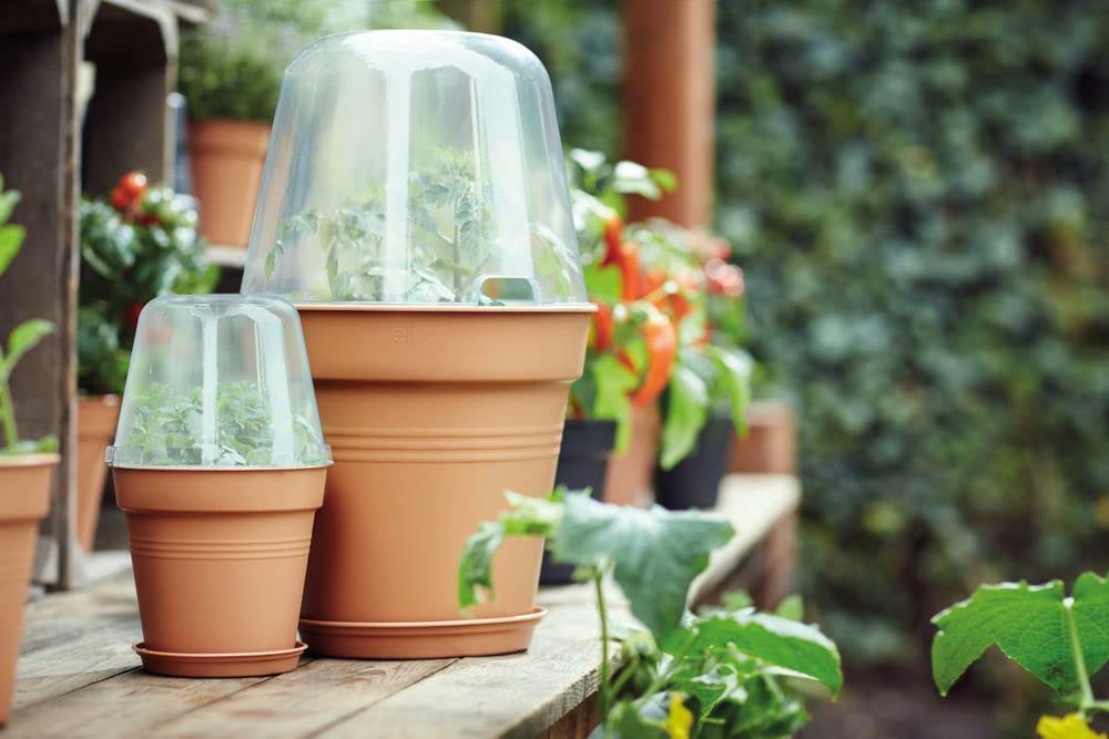 Green Basics Grow House Round 30cm Transparent