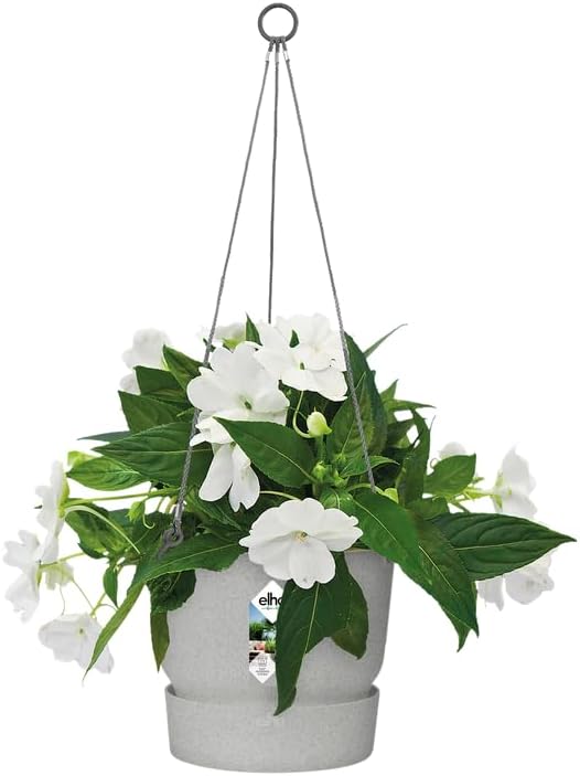 Greenville 24cm Hanging Basket Living Concrete