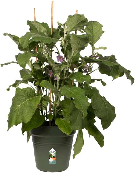 Green Basics Growpot 17cm - Leaf Green