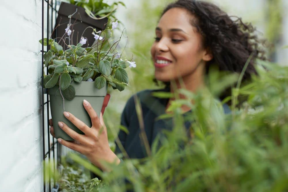 Loft Urban Green Wall Pot Single 15cm - Pistachio Green