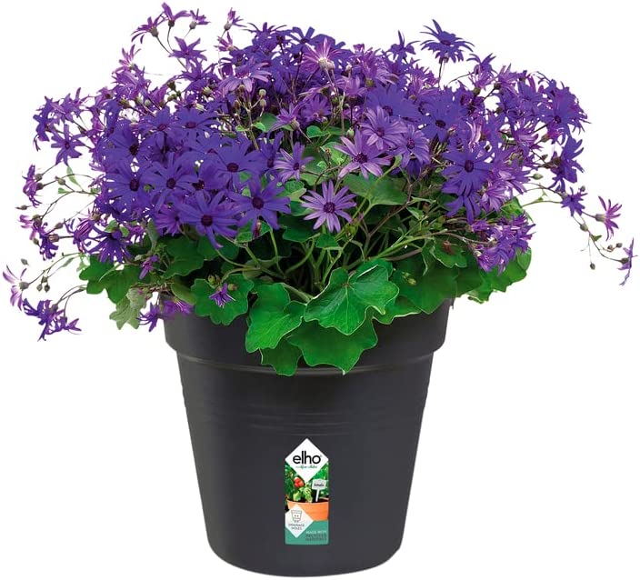 Green Basics Grow Pot 27cm - Living Black