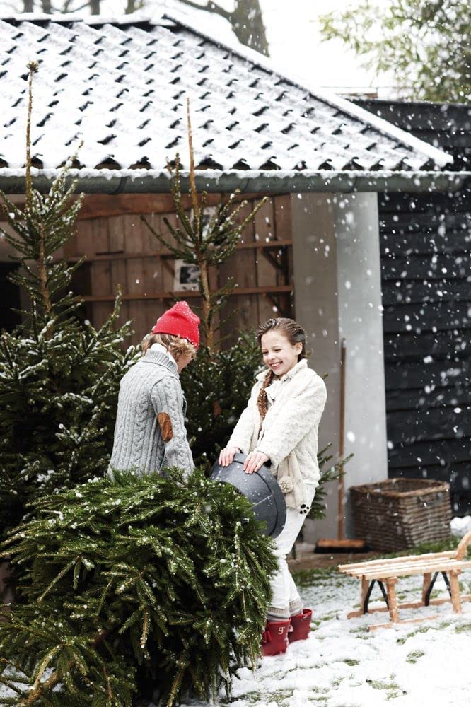 Elho Nordman 39cm Christmas Tree Stand