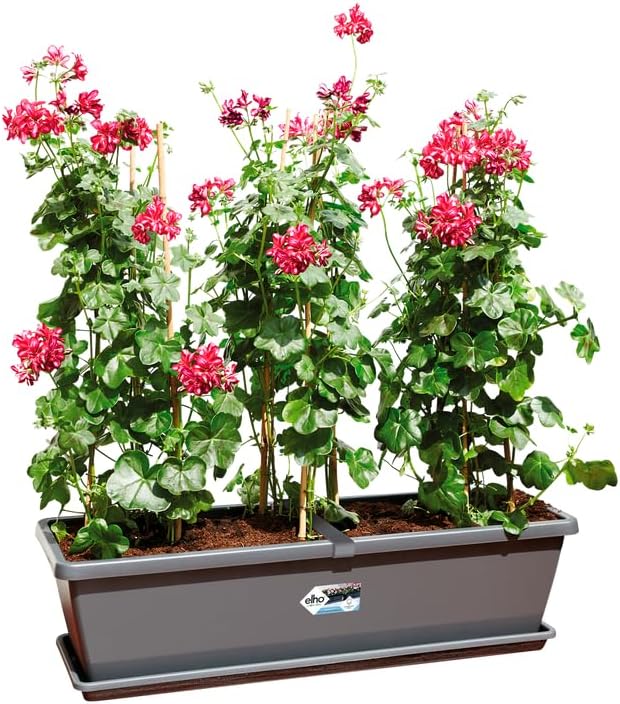 Barcelona XL 60cm Balcony Planter - Anthracite