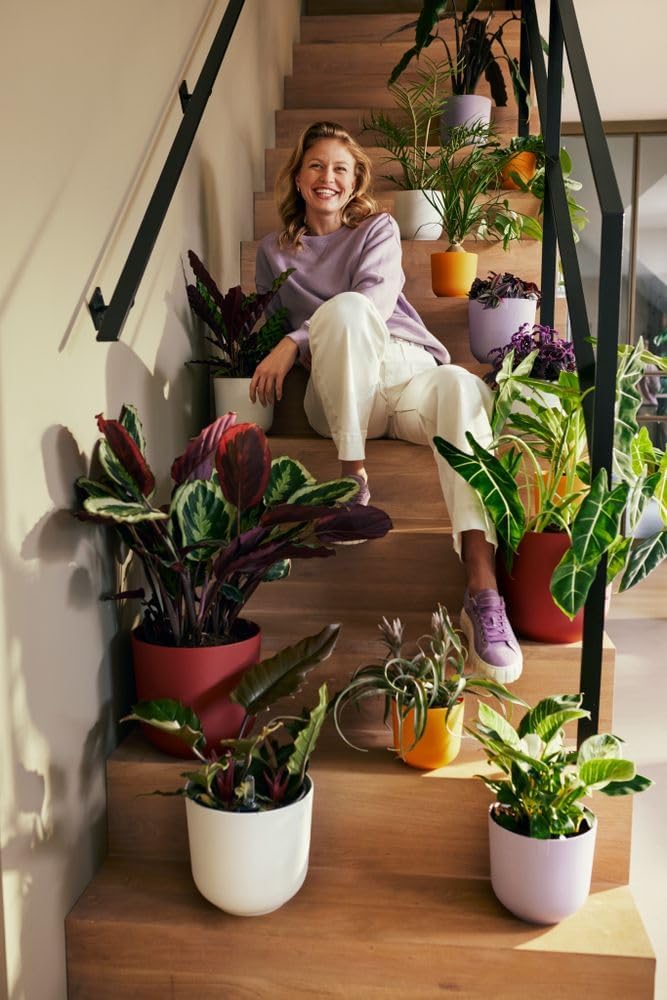 Jazz Round 23cm - Silky White