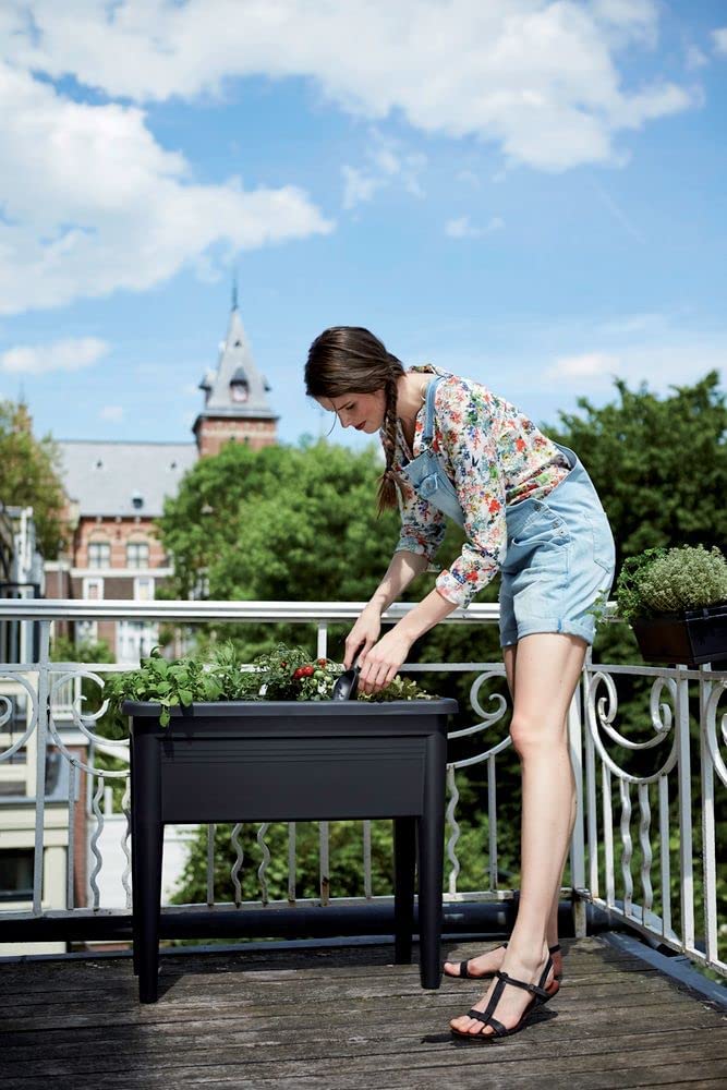 Green Basics Scoop - Living Black