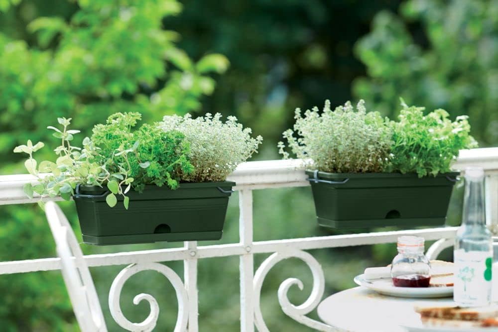 Green Basics Trough Allin1 30cm Leaf Green