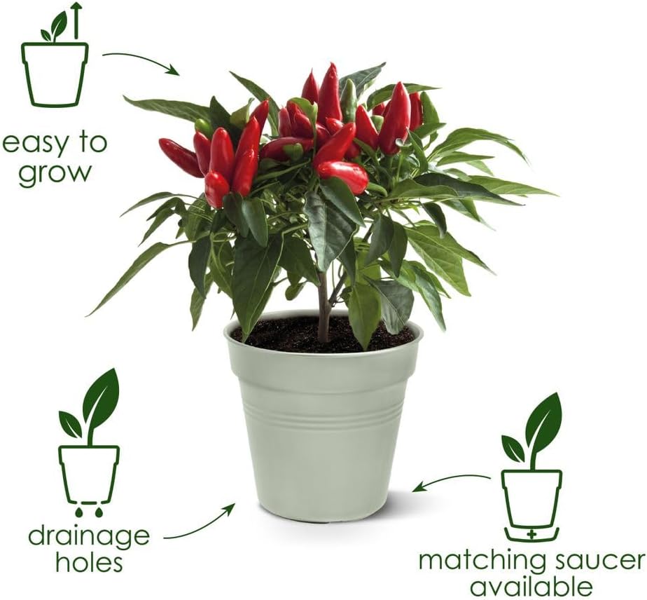 Green Basics Grow Pot 40cm - Stone Green