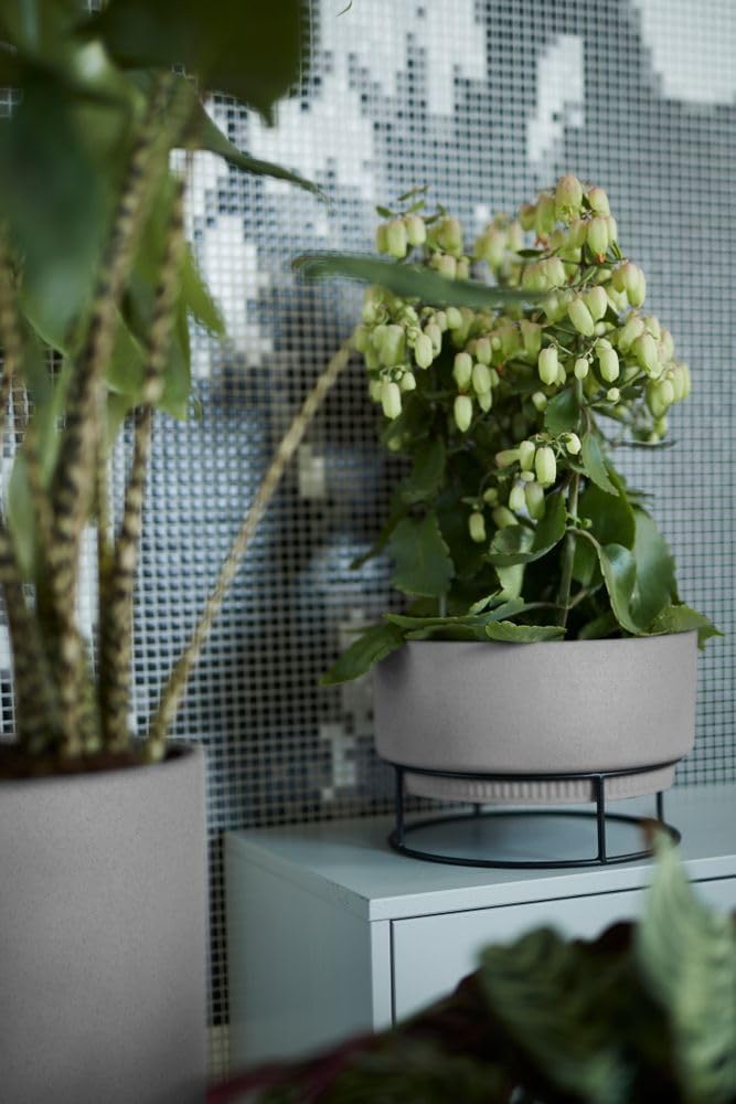 B.for Studio Round Bowl 30cm - Living Concrete