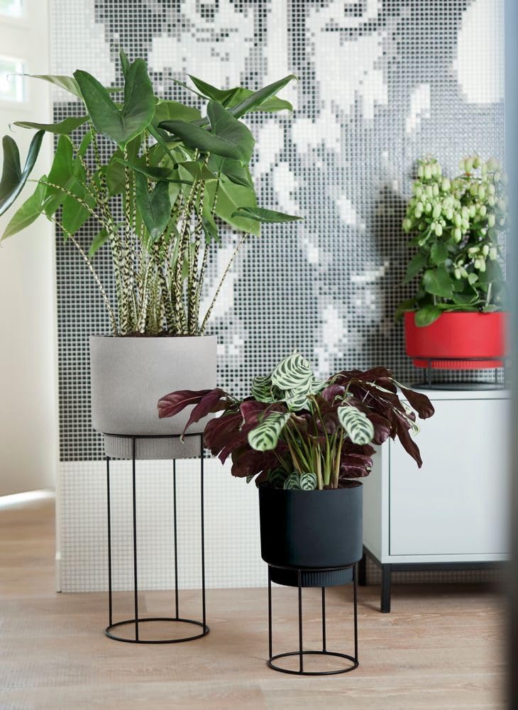 B.for Studio Round 22cm - Living Concrete