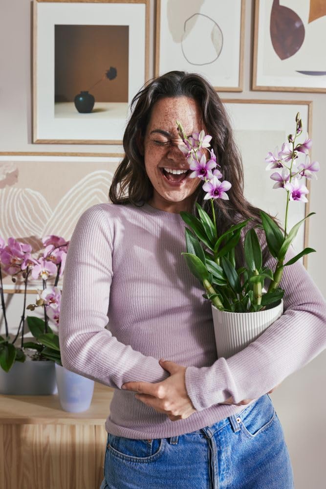 Vibes Fold Orchid High 12.5cm Silky White