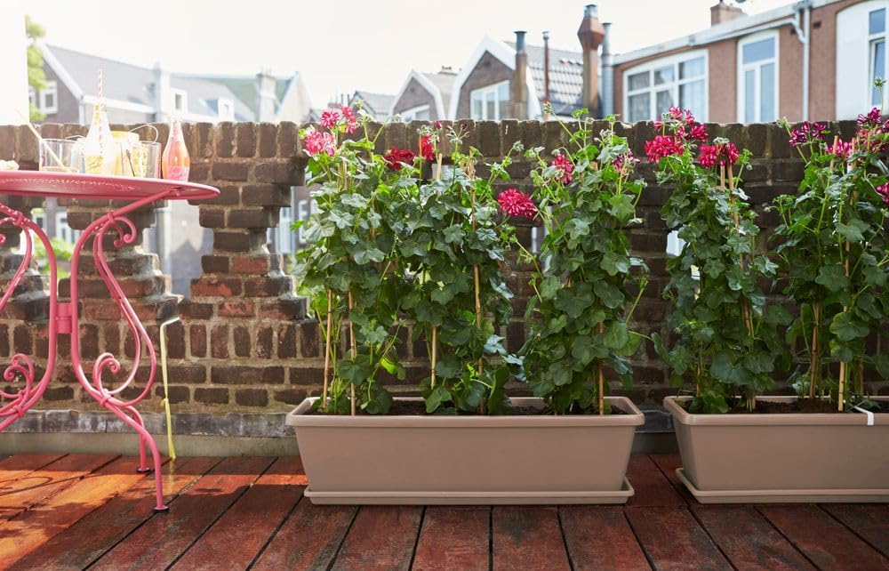 Barcelona XL 60cm Balcony Planter - Taupe