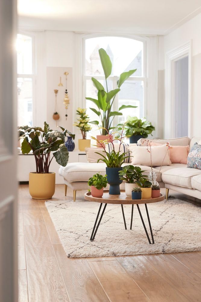 Vibes Fold Mini 7cm Round Silky White