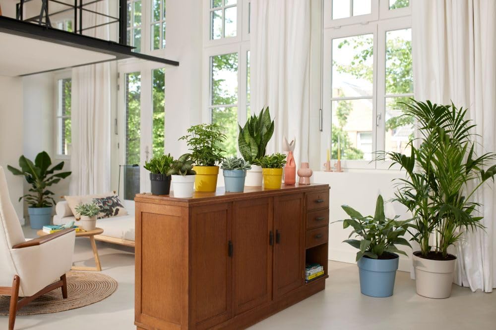 B.for Original Round 25cm - White