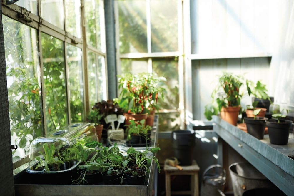 Green Basics Grow pot Starter Set of 10 - Living Black