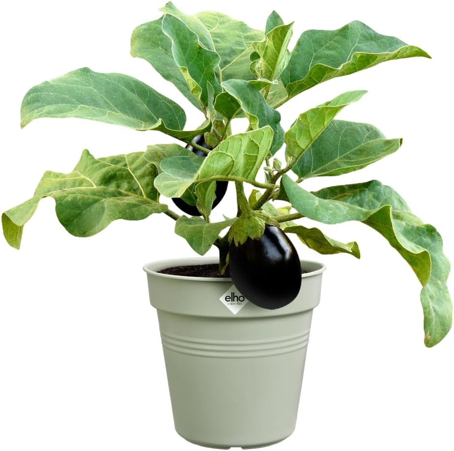 Green Basics Grow Pot 35cm - Stone Green