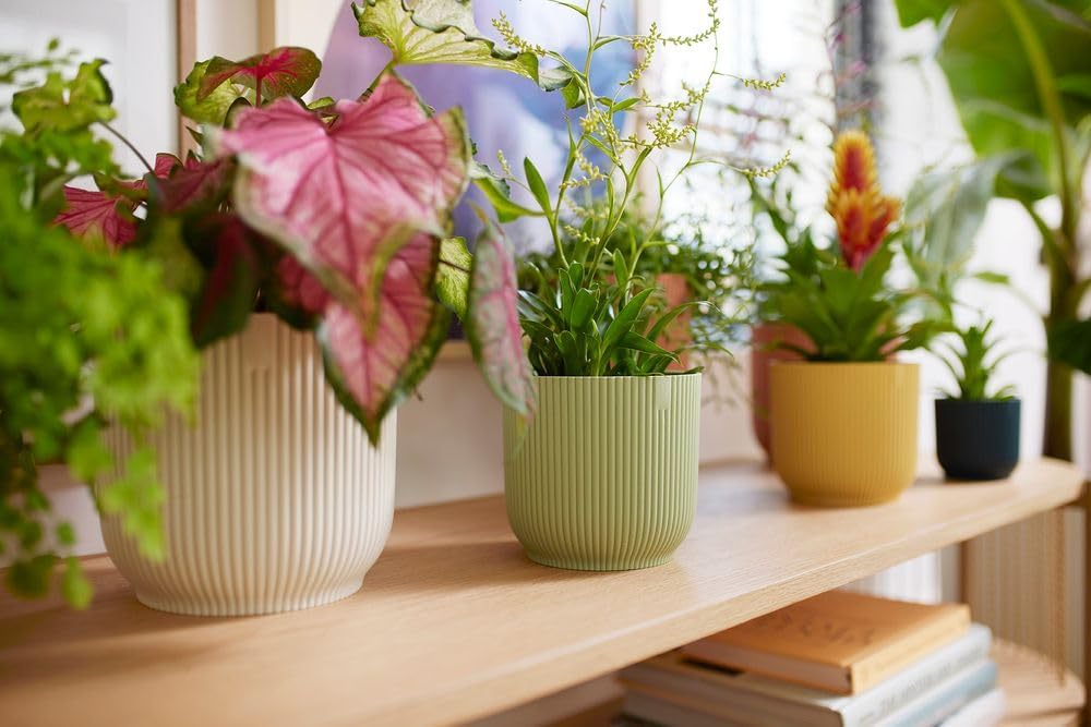 Vibes Fold Mini 7cm Round Sorbet Green