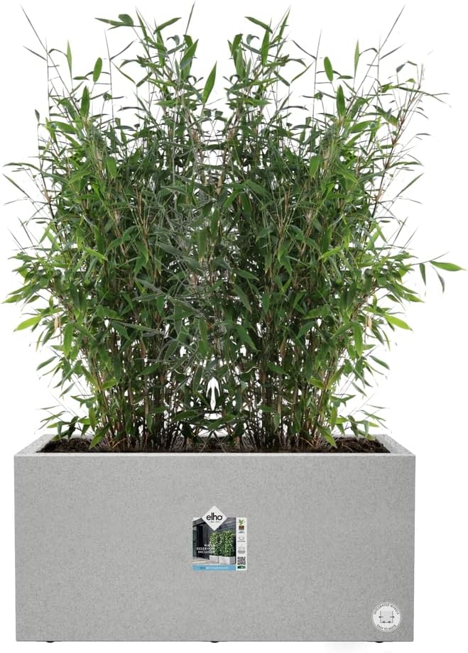 Vivo Next Long- 60cm - Living Concrete