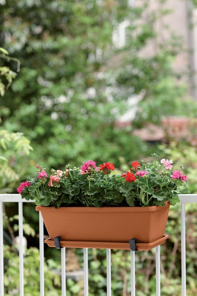 Barcelona Trough Saucer 50cm - Terracotta