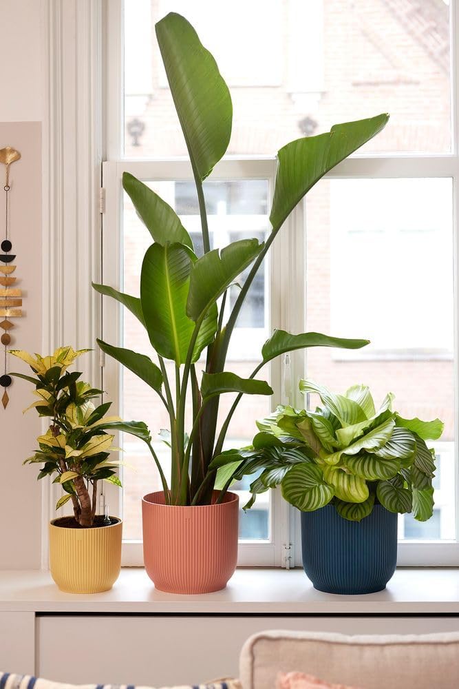 Vibes Fold Round 18cm Delicate Pink