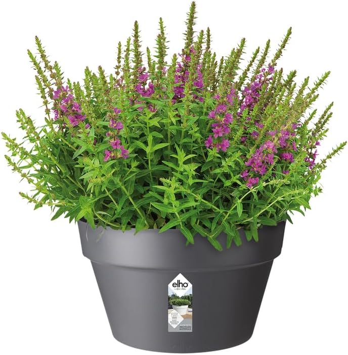 Loft Urban Bowl 35cm - Anthracite