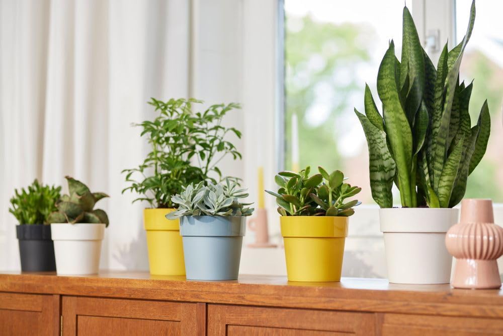 B.for Original Round 25cm - White