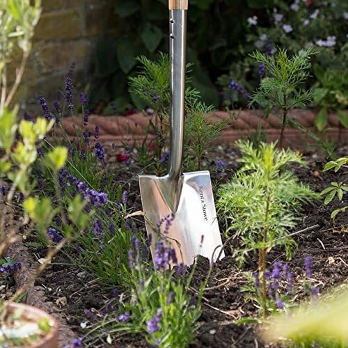 Stainless Steel Border Spade