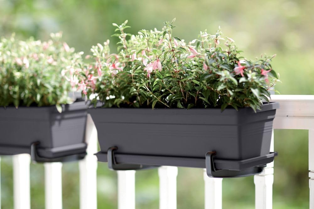Green Basics Trough 50cm - Living Black
