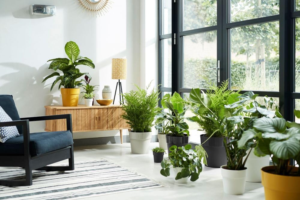 B.for Original Round 18cm - Dove Blue