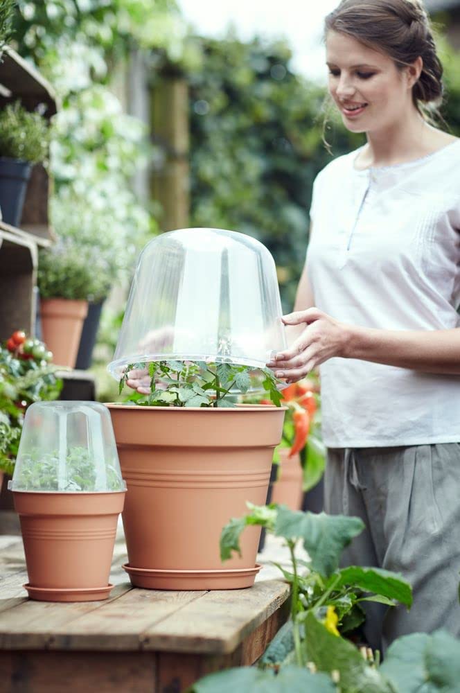 Green Basics Grow House Round 30cm Transparent