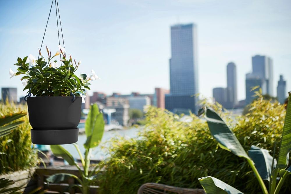 Greenville 24cm Hanging Basket Living Black