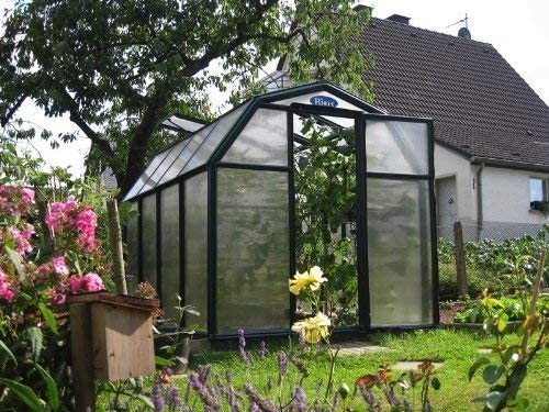 Eco Grow 6' x 12' Greenhouse - Green Frame & Twinwall Polycarbonate Panels
