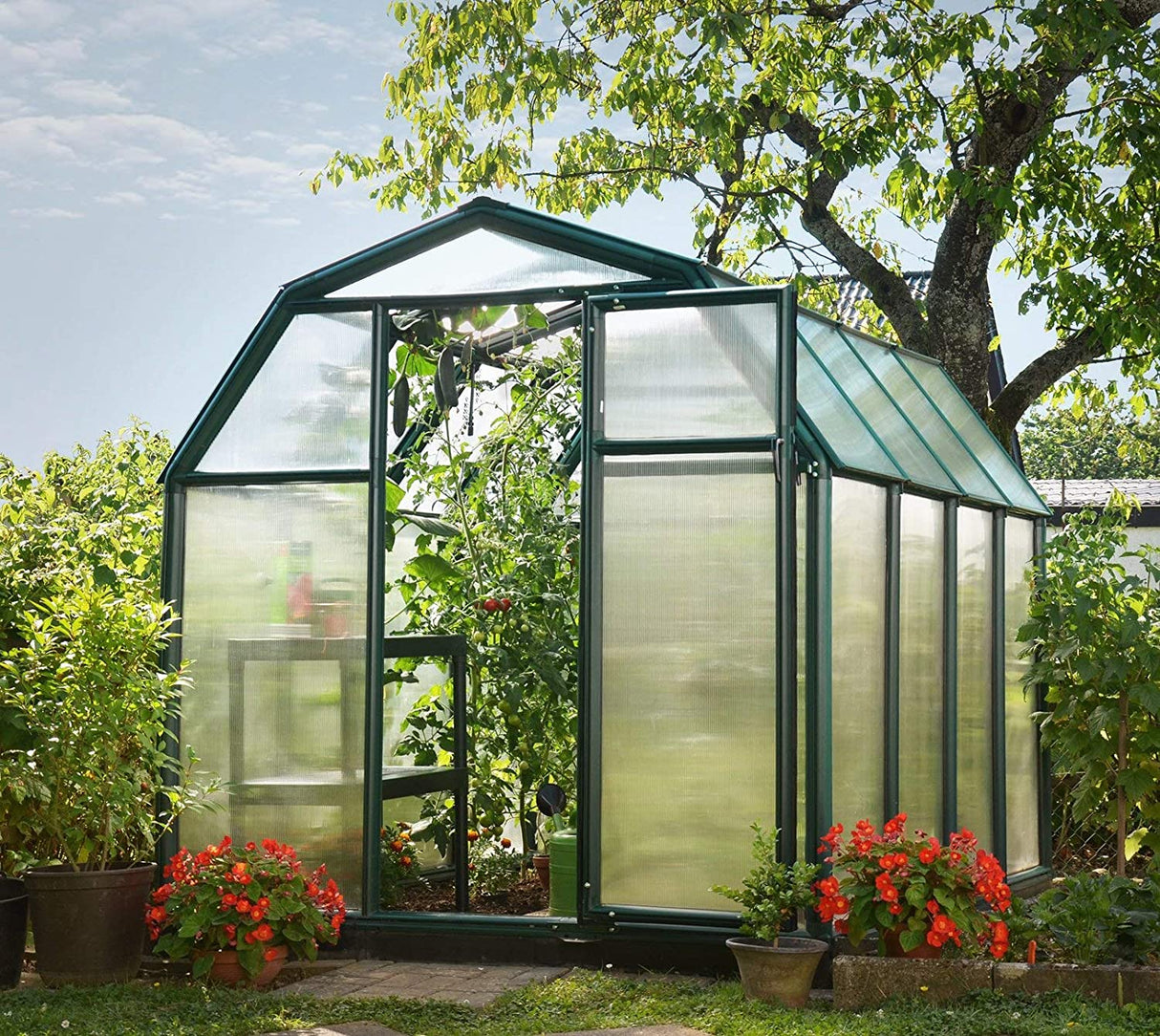 Eco Grow 6' x 8' Greenhouse - Green Frame & Twinwall Polycarbonate Panels